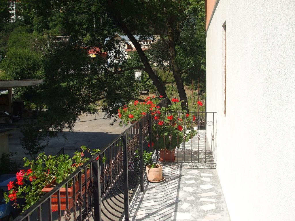 Vila Ana-Maria Sinaia Pokój zdjęcie
