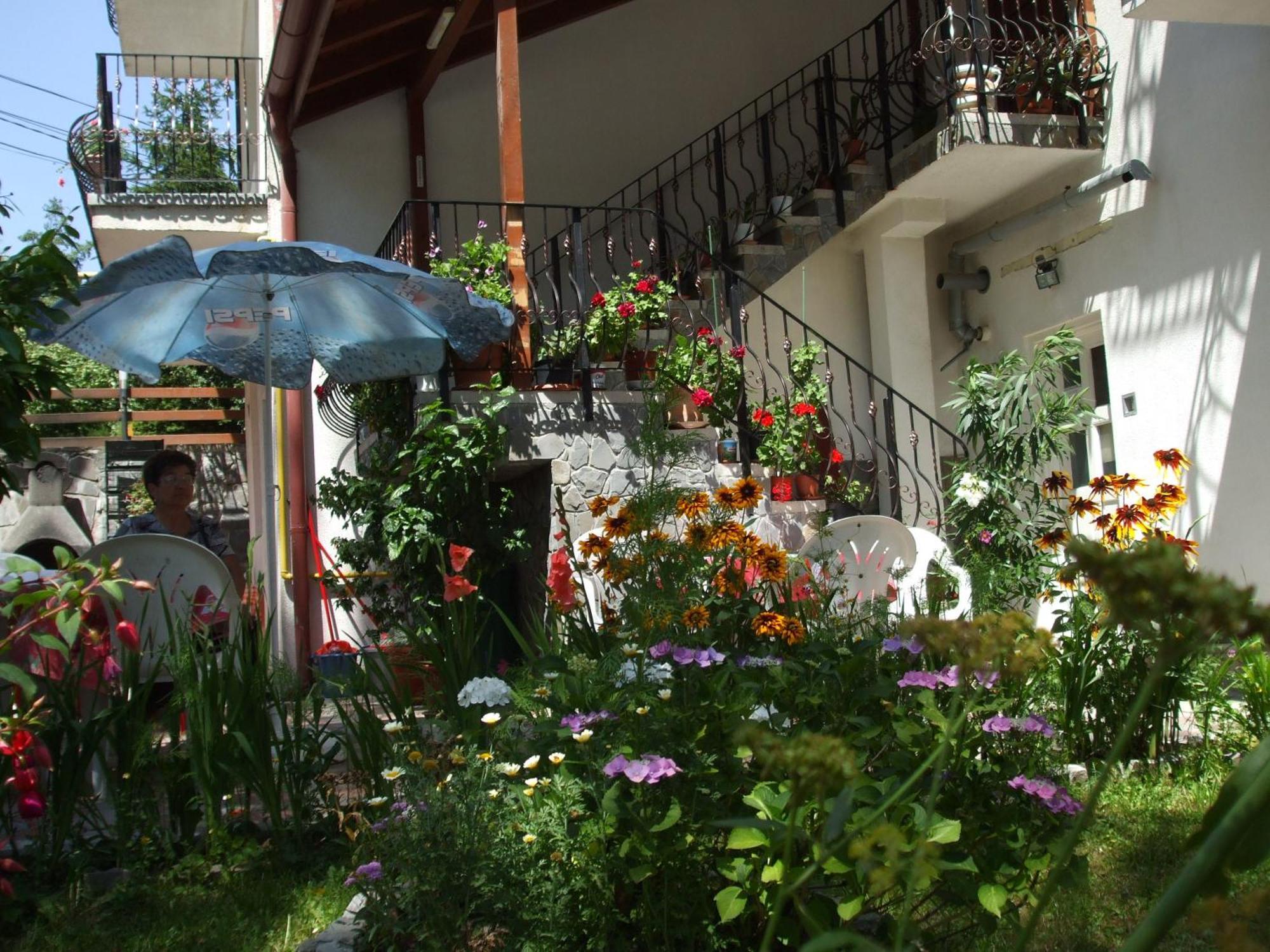 Vila Ana-Maria Sinaia Zewnętrze zdjęcie