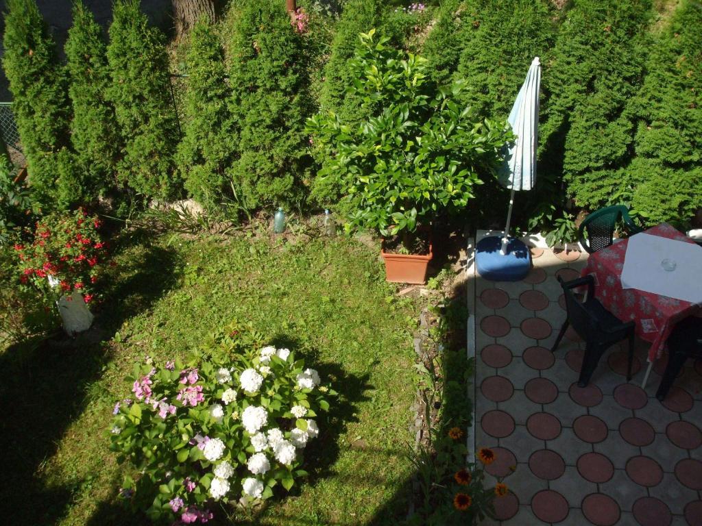 Vila Ana-Maria Sinaia Zewnętrze zdjęcie