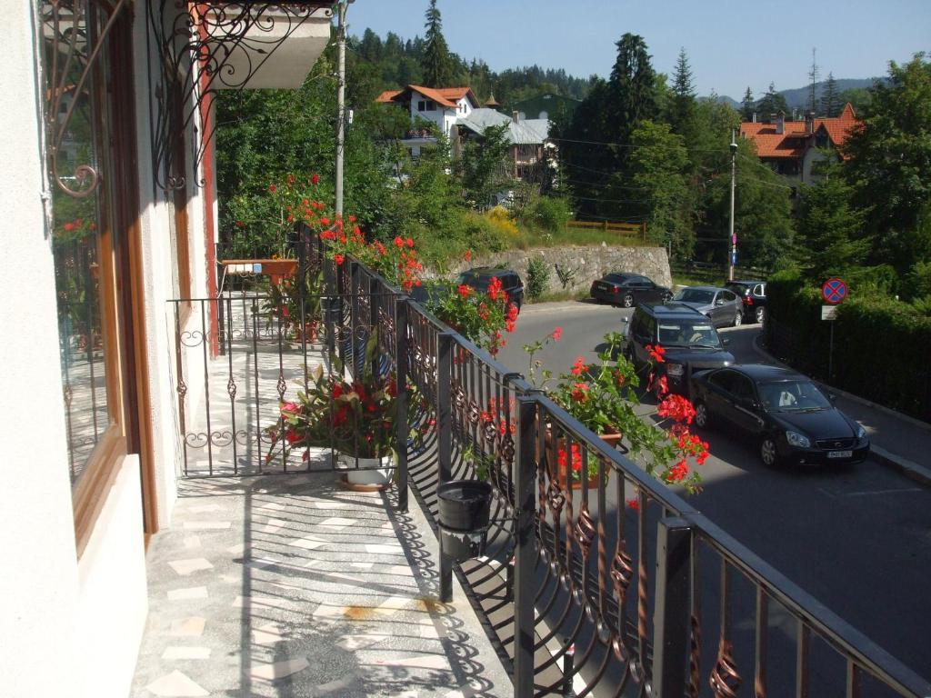 Vila Ana-Maria Sinaia Zewnętrze zdjęcie